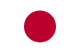 Tokyo Flag